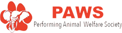 PAWs Logo